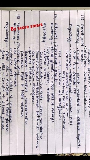 Endocrine system short notes 🗒️ EASY to study and remember Anatomy and physiology