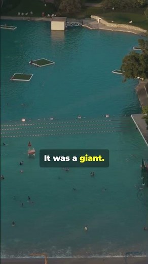 A Pool So Big, Lifeguards Used Rowboats I Fleishhaker Pool