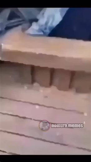 nomura.memes | Memes, humor y diversión on Instagram: "Esto es nomura memes 😹 Momazos y temazos 🎵 Si este meme te ha gustado date una vuelta por mi perfil. Está lleno de memes igual de buenos. Te vas a partir de risa! 😹🚬🗿"