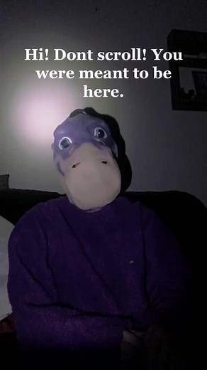 Fun Froggie and Flintstones Plush Dino Video