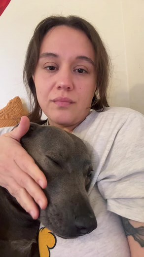 In the Arms of the Angels by Alexa Play | Pitbulls in a Mood