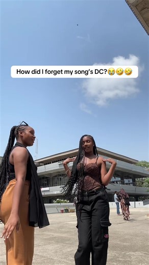 Fun Song Dance Challenge Recreation