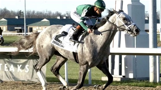 Want to bet on a gray horse to win 2026 Kentucky Derby? 2 to consider