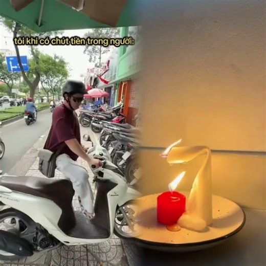 Me When I Have a Little Money Little Fox #caonho #funny #trending #shorts#comedy#fyp#funny