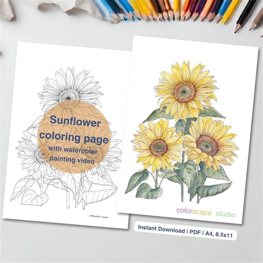 Sunflower Coloring Page - Printable Watercolor Coloring Page for Adults With Tutorials - Etsy Australia