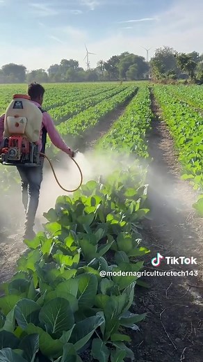 Innovative Modern Agriculture in Nepal