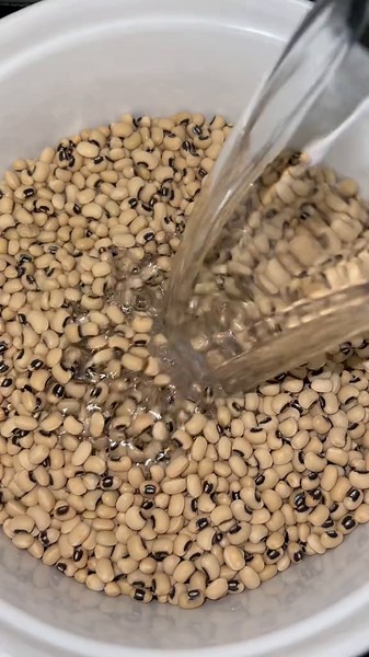 Préparer des Haricots Verts à la Vapeur