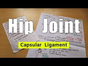 Hip Joint | Part 4 | Capsular Ligament | Lower Limb Anatomy | The Charsi of Medical Literature