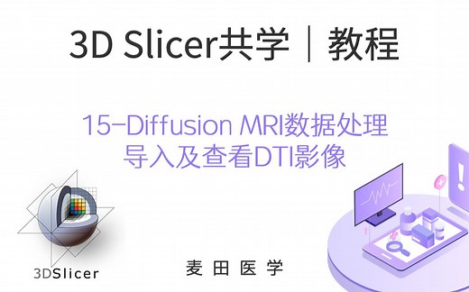 3D Slicer共学 | 扩散核磁共振（Diffusion MRI）数据处理-导入及查看DTI影像