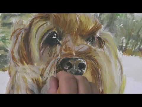 Water Colour Pet Portrait - Dog - Cockapoo