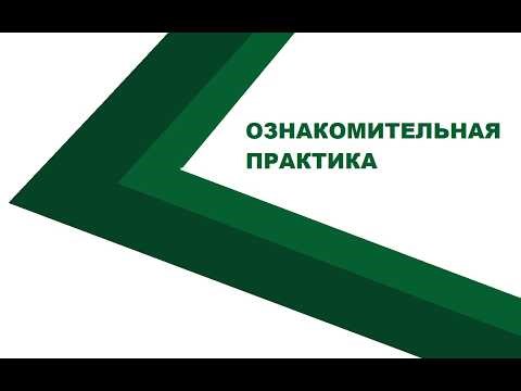 02 02 JAVA MAX MIN ARRAY - Ознакомительная практика - Автоматизация тестирования