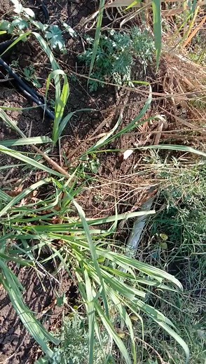 jay malhar jay ahilya jay shivray bhavano sport kara