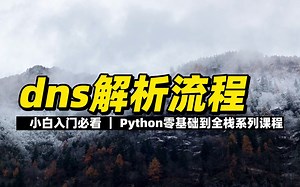dns解析流程 - 《Python零基础到全栈系列》