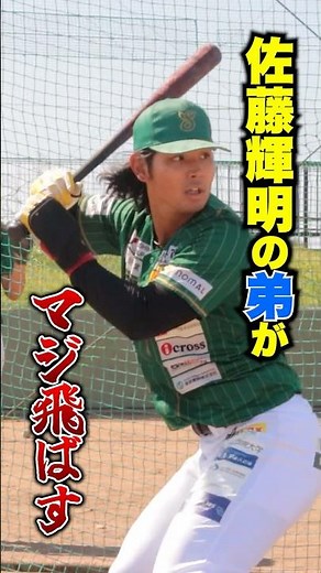 阪神サトテルの弟がやばい #shorts #野球 #トクサンtv #関西独立リーグ #npb