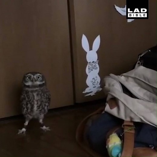 When your hear your mum shout "dinner's ready" 😂😂 | LADbible