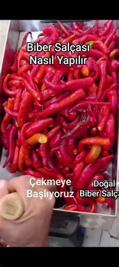 Doğal Biber Salçası Nasıl Yapılır # #tarla #organikmeyve #tarım #bahçe #çiftçi #köy #doğal