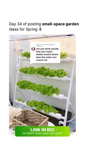 Join our Spring Mini Farm Challenge for FREE! 🌱 🔗 Link in bio . Space is a luxury these days. Rent keeps going up, apartments keep getting smaller, and having a garden felt impossible. But learning the science of hydroponics changed everything for me. It showed me what's possible and that I can grow high-quality, pesticide-free food at home without mess, without a big space, and without spending hours on maintenance. If you’ve ever felt like… ❎You don’t have enough space to garden ❎ You don’t 