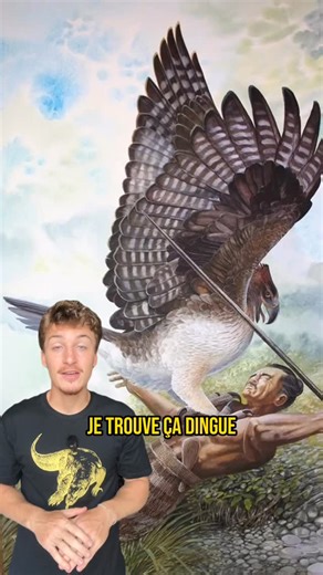 191K views · 2.8K reactions | Cet aigle géant capable de tuer un homme a disparu du jour au lendemain d’une raison particulière…  #pouakai #aigledehaast | Frère Faucon | Facebook