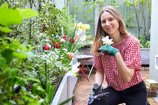 Spring into action: expert tips for getting into gardening
