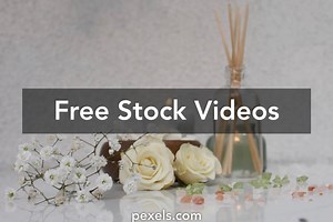Burning Roses Videos, Download The BEST Free 4k Stock Video Footage & Burning Roses HD Video Clips