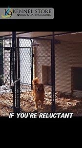 That split-second of panic when you realize the gate was left open. Your escape-artist dog 🐕 is halfway down the block… or your curious toddler 👶 is heading straight for the pool. A simple latch is a gamble you cannot afford to lose. Stop relying on hope. The MagnaLatch® Magnetic Lockable Gate Latch is the ultimate upgrade in safety and security — a system built to protect what matters most. ✅ Outsmarts Clever Kids & Pups: The Top-Pull release sits high above reach, keeping curious hands and p