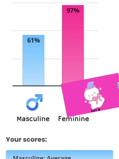 Exploring Gender Role Tests and Femboy Culture