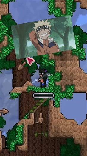 SPORTS IN TERRARIA