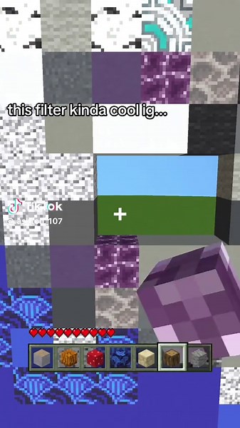 Discover Cool Filters for Minecraft