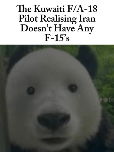 F-18 Friendly Fire Incident…🇰🇼✈️ #fy #militaryintelligence #museum #history #meme