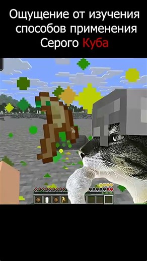 The thrill of learning how to use the Gray Cube in Minecraft