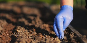 Miser sur les « agriculteurs innovants » pour transformer l’agriculture