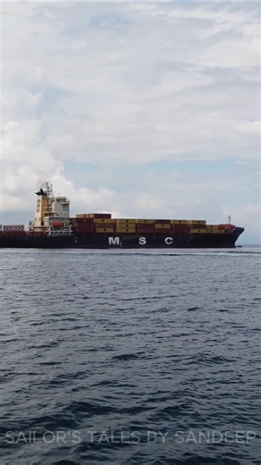 MSC logistic ship in Panama anchorage #mscships #logistics #fact