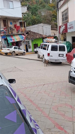 Chacarrón: El Perro y su Soledad