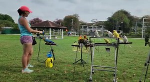 Mass shower after mass flying 🤣🤭 | Teddy, Junior&Kasey