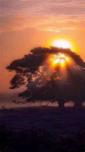 EuFooria (@silvervibesonly)’s videos with Promises - Calvin Harris & Sam Smith