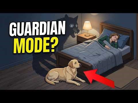 The Real Reason Your Dog Sleeps On The Hard Floor (It's Not Comfort)