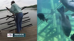 5.2K views · 48 reactions | Tim's Pro Fishing Tips: Creating the Ultimate Fishing Habitat in your pond or around your dock. #fishhabitat #americanfishtree #fishingtips American Fish Tree | Timmy Horton Outdoors | Facebook