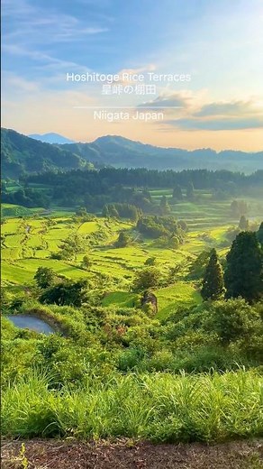 2025年、感動した景色を紹介します！📍沈堕の滝📍浄土平📍星峠の棚田📍弘前城📍八丈島