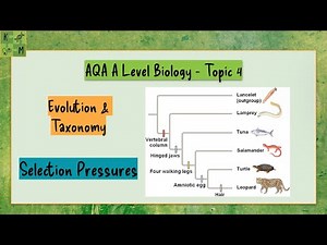 Evolution & Taxonomy 02 - SELECTION PRESSURES - AQA A level Biology - Topic 4