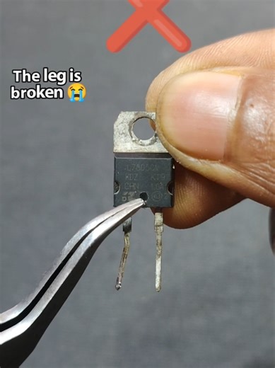 How to Repair a Broken Leg: A Quick Guide