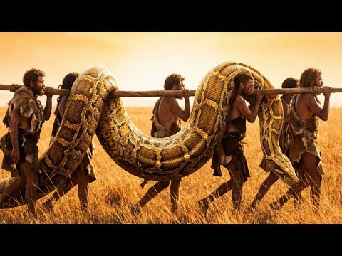 “When the Earth Belonged to Giants: The Prehistoric Python That Ruled Millions of Years Ago!”🐍