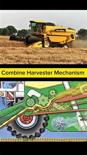 What Happens Inside a Combine Harvester? 🚜 #agriculture #shorts