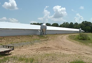 Local farmer files lawsuit against poultry company, seeks millions in compensation - WBBJ TV