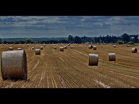 LS 25 Groß Molzahn # Privat # Wir Starten heute in die Ernte