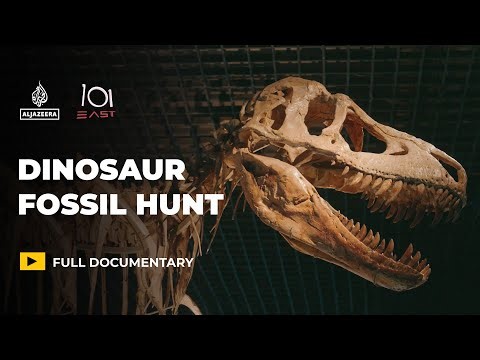 Dinosaurs for sale: Is the global fossil market harming science? | 101 East Documentary