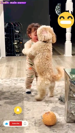 "Dog Making Strange Noises… What Is This? 😆" #funny