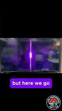 Step by Step Setup Guide For Your vSeeBox