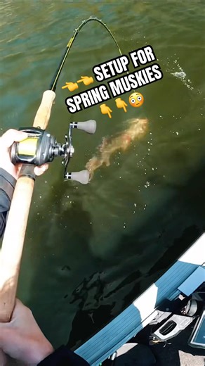 Spring Musky Setup that WORKS!💥🎣#musky #muskyfishing #fishingtips
