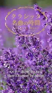 1分クラシック♪ 朝の歌 エルガー #クラシック #名曲 #朝