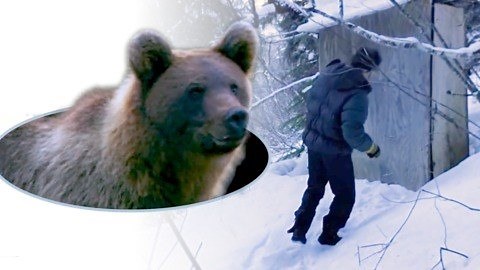 When you gotta, go you gotta go 😳😅 This woman had the surprise of her life when a black bear bit her on the butt, seconds after sitting down on the toilet in an outhouse beside her remote yurt in Alaska. | The Weather Network